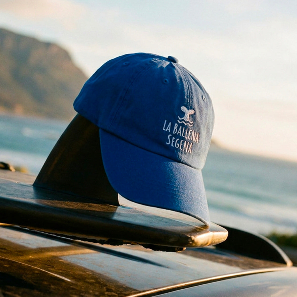 Casquette vintage La Ballena Segena